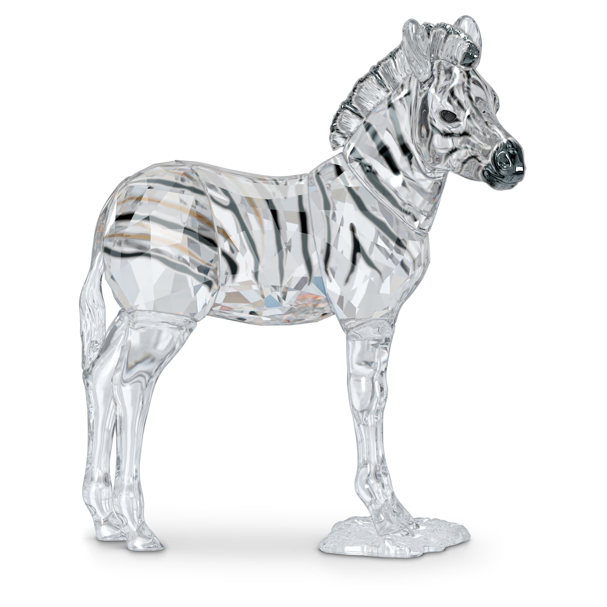 elegance-of-africa-scs-zebra-baby-zuri-swarovski-5557906