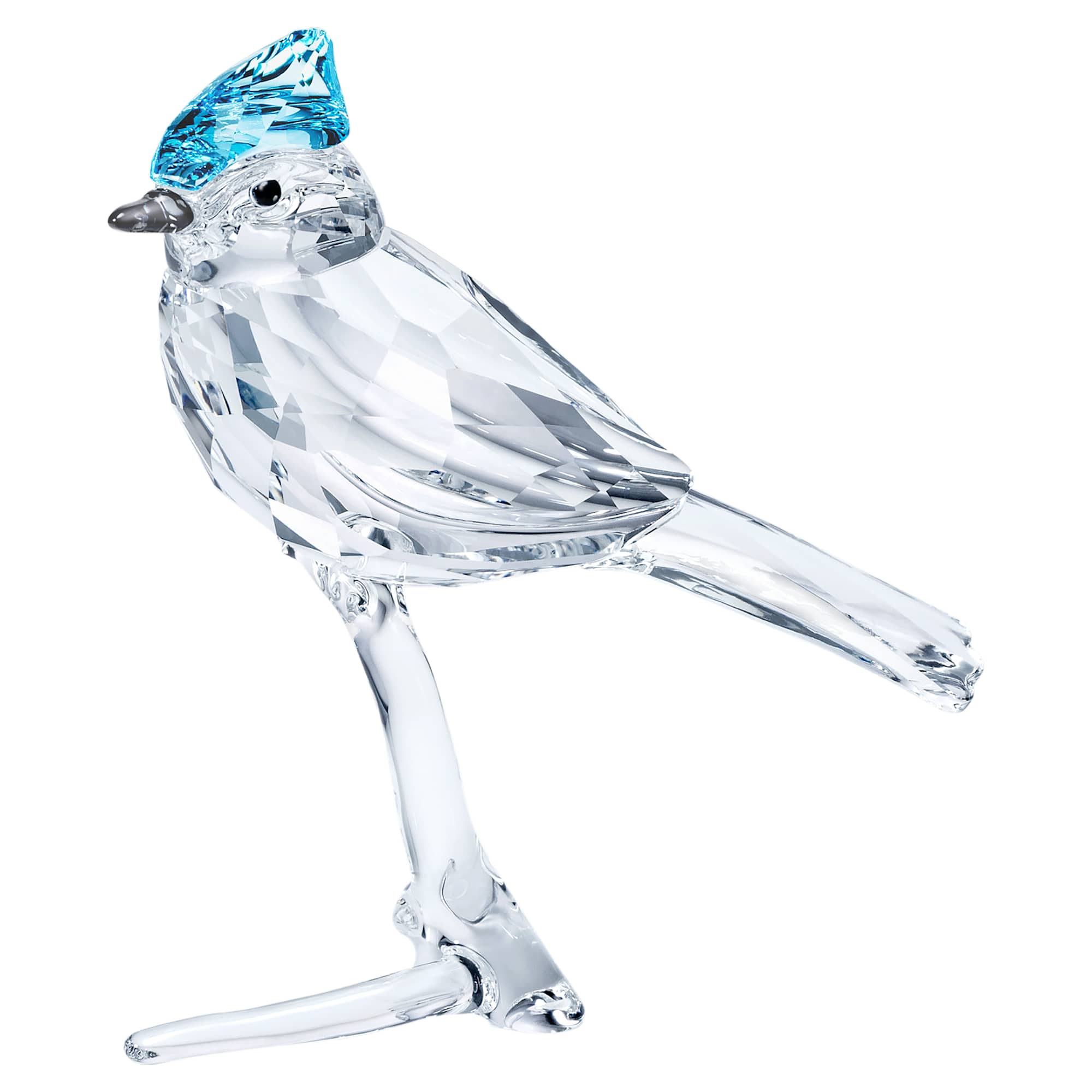 feathered-beauties-blue-jay-swarovski-5705326