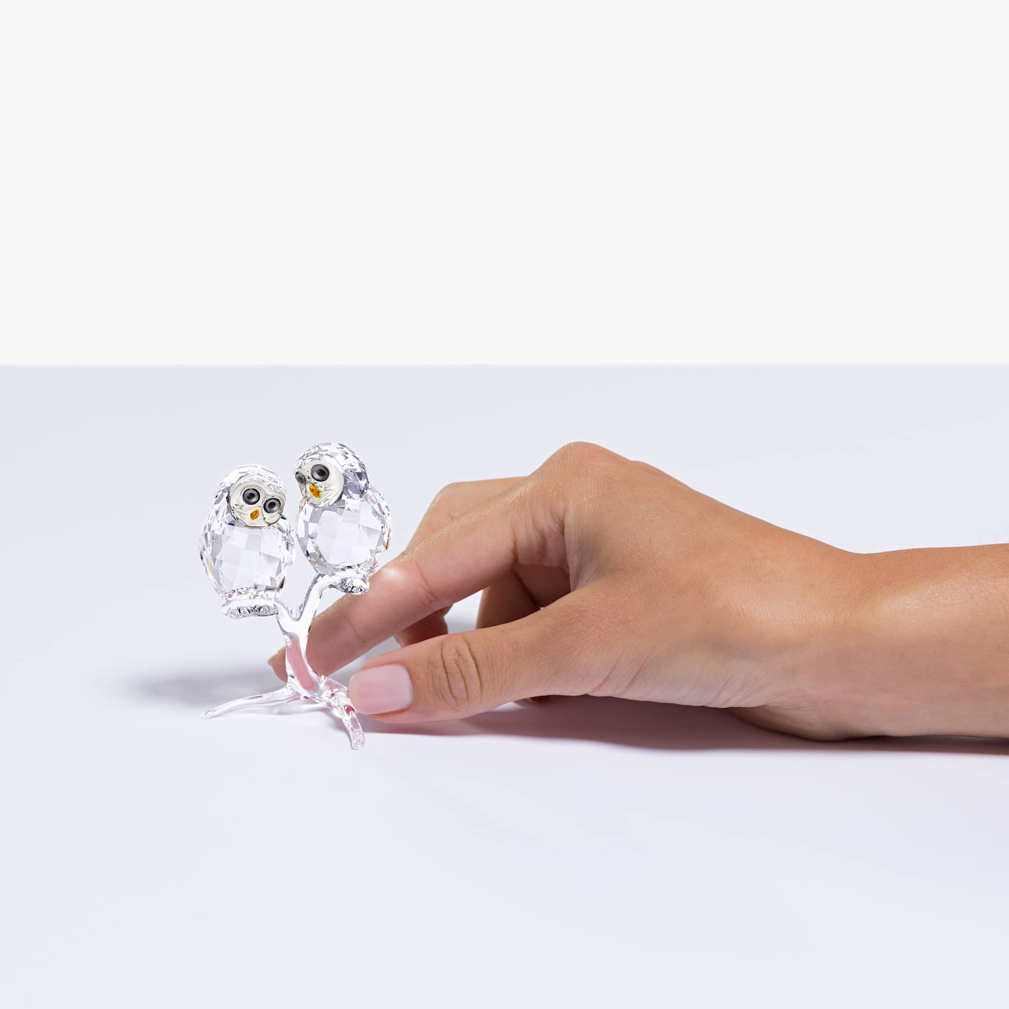 feathered-beauties-owl-couple-swarovski-5493722