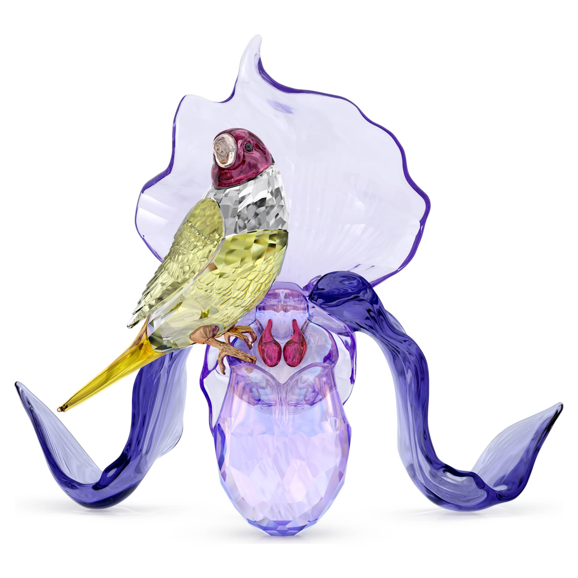 idyllia-gouldian-finch-and-orchid-swarovski-5675211