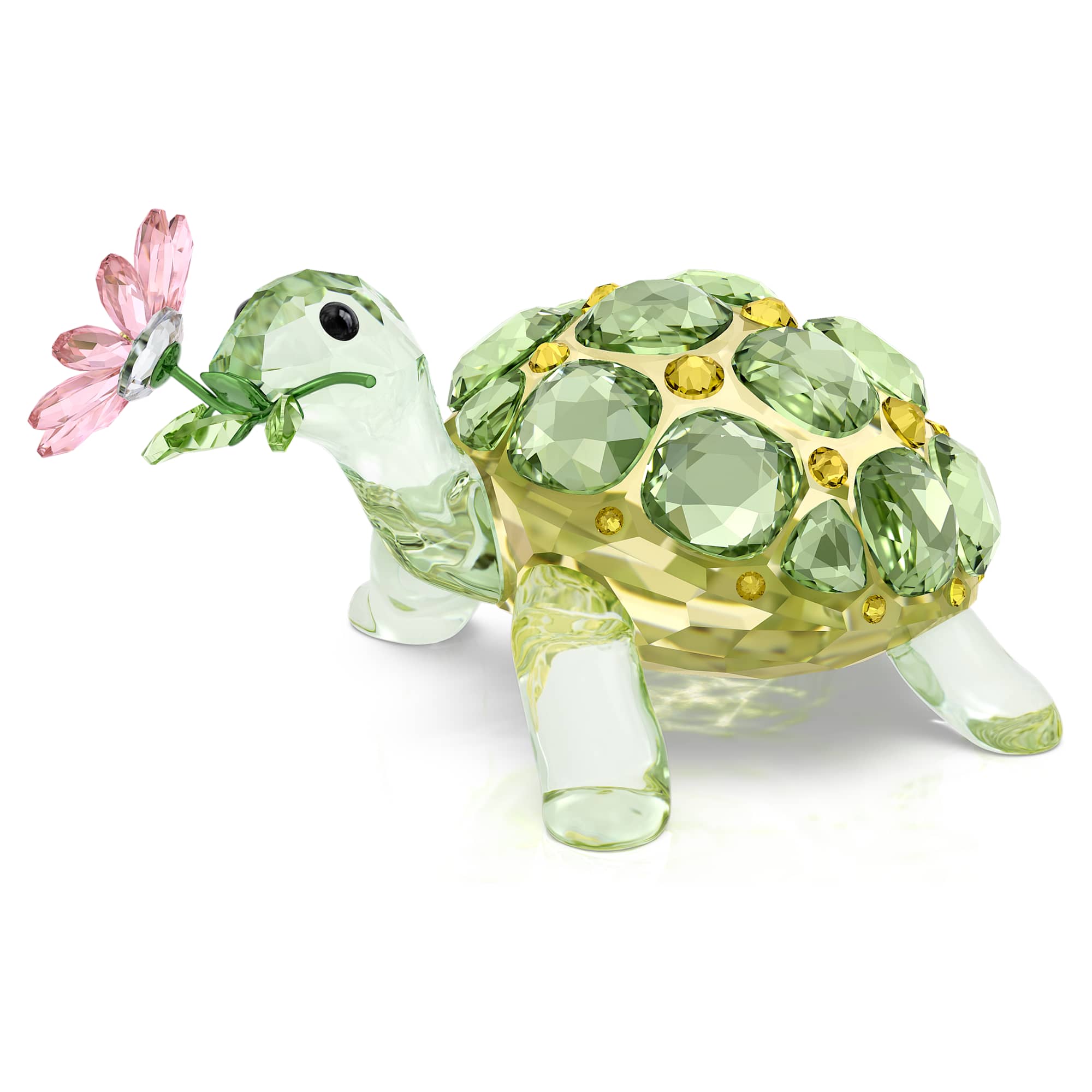 idyllia-tortoise-and-daisy-swarovski-5721542