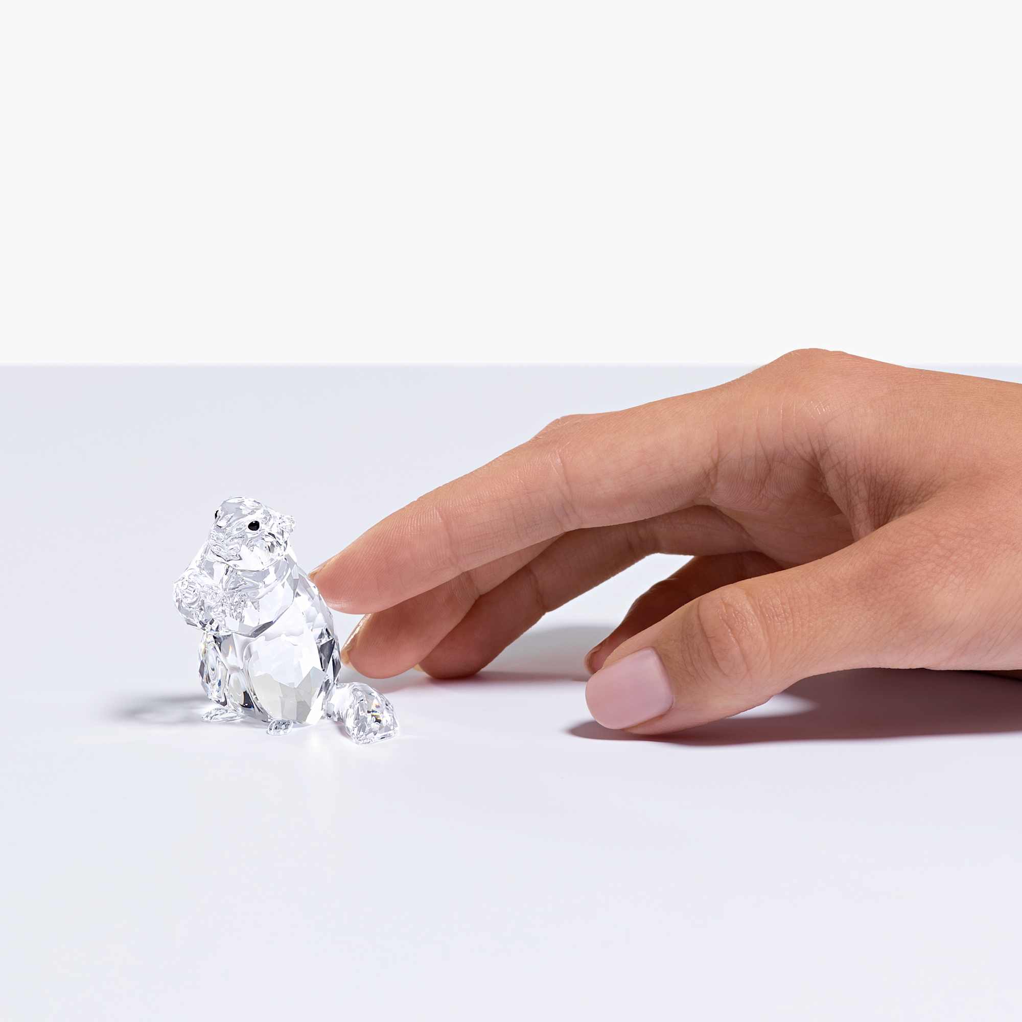 scs-marmot-28event-piece-202029-swarovski-5493709