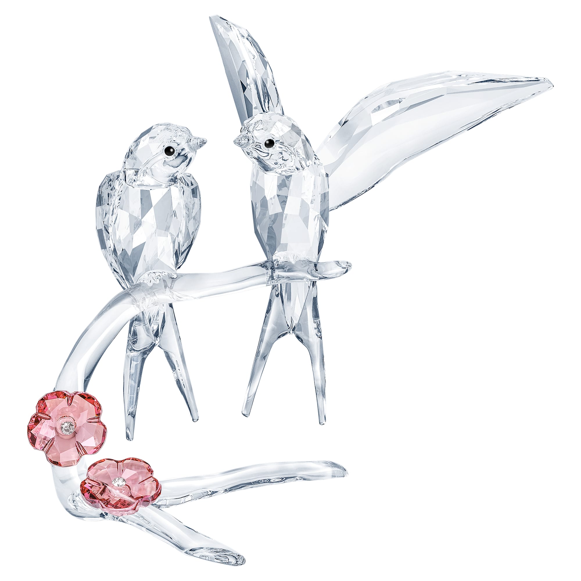 swallows-swarovski-5475566